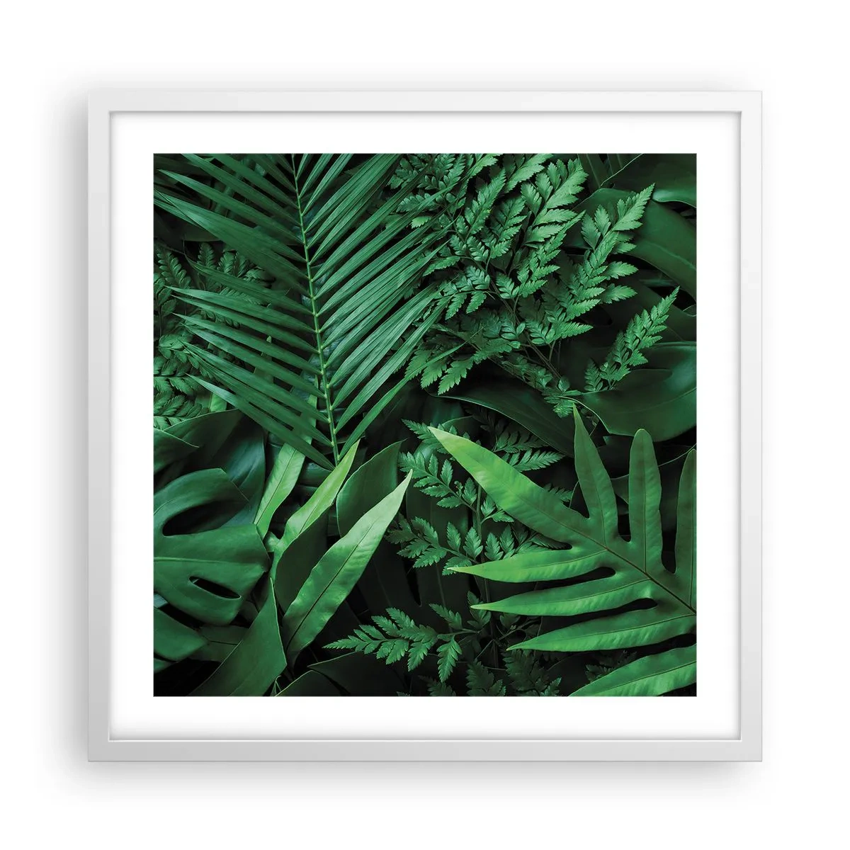 Poster în ramă albă - Înfășurate în verde - 50x50 cm