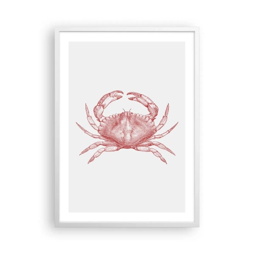 Poster în ramă albă - Crab peste crabi - 50x70 cm