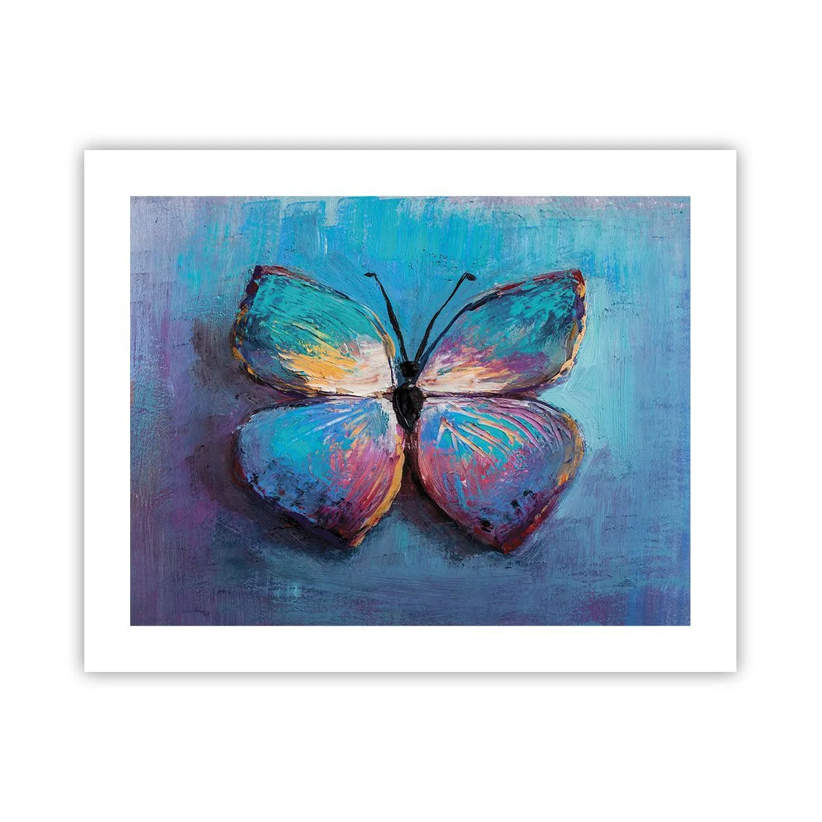 Poster - În plină glorie - 50x40 cm