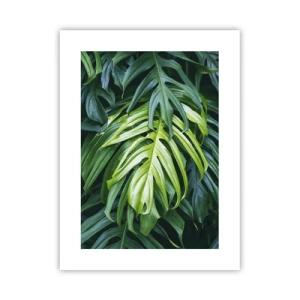 Poster - Scufundă-te în prospețime - 30x40 cm