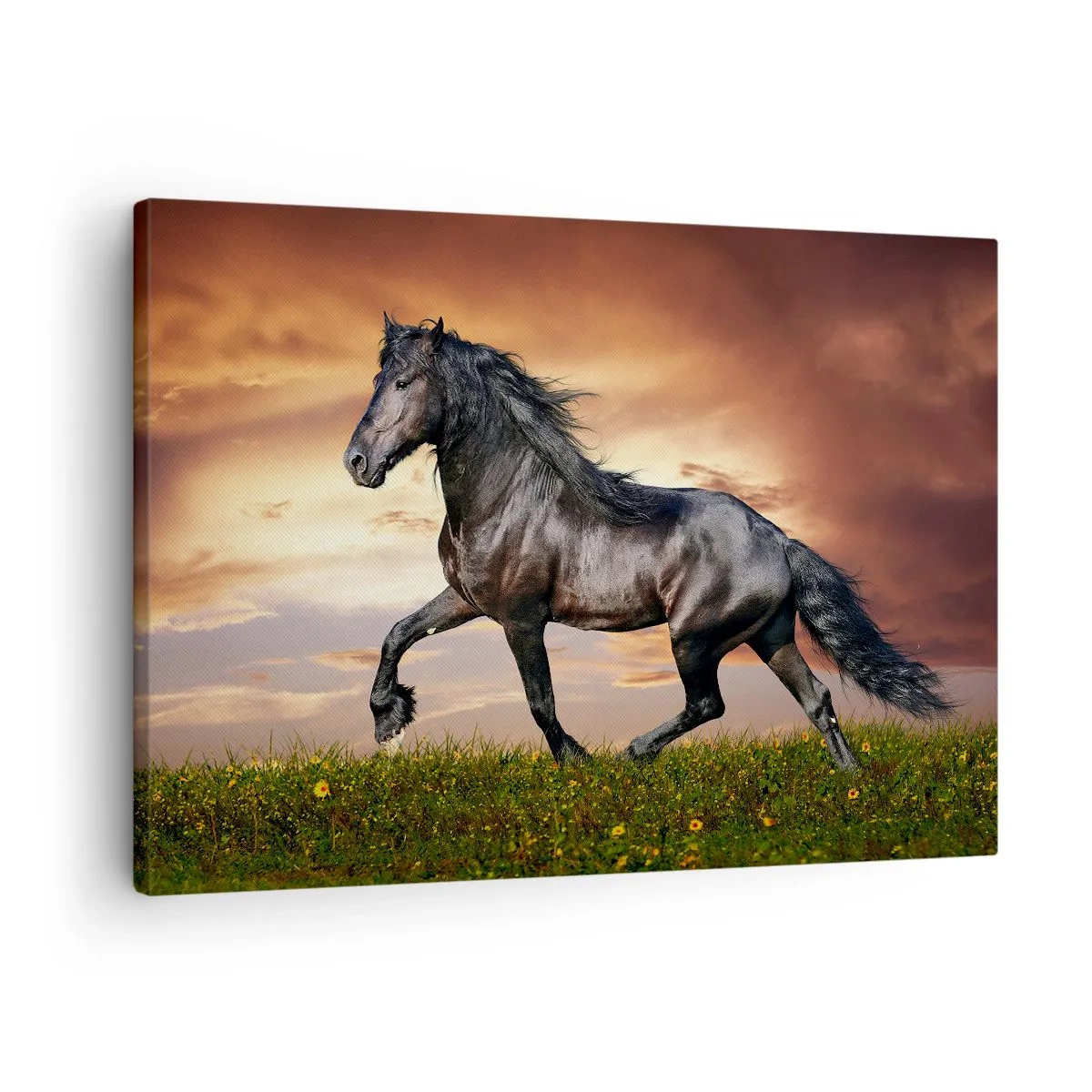 Tablou pe pânză Canvas - Un cal negru galopând pe fondul soarelui apus - 70x50cm - Prințul negru - Decorațiune modernă pentru perete pentru living și dormitor ARTTOR