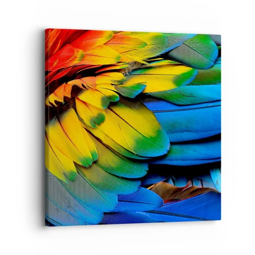 Tablou pe pânză - Pasăre de paradis - 30x30 cm