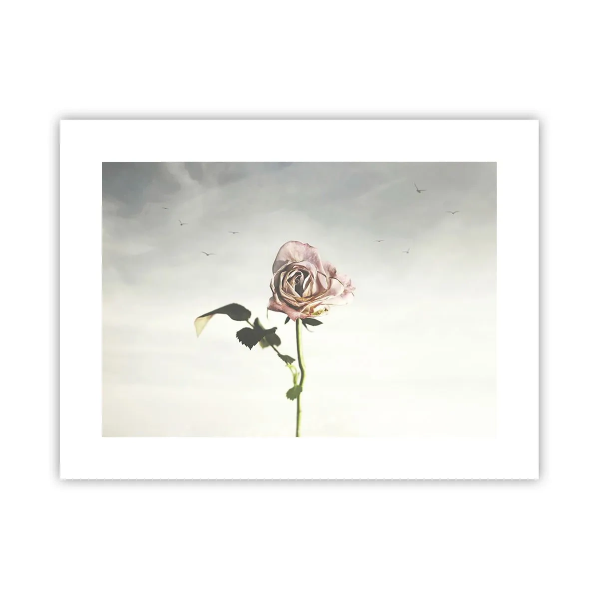 Poster - Primăvara binevenită - 40x30 cm