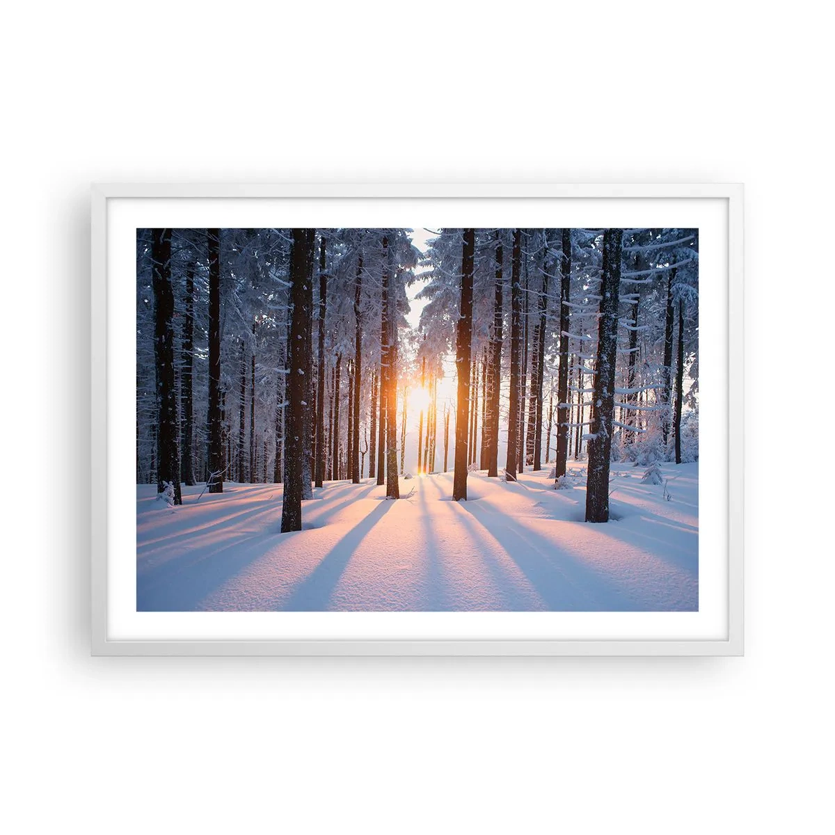 Poster în ramă albă - În mod clar în alb și negru - 70x50 cm