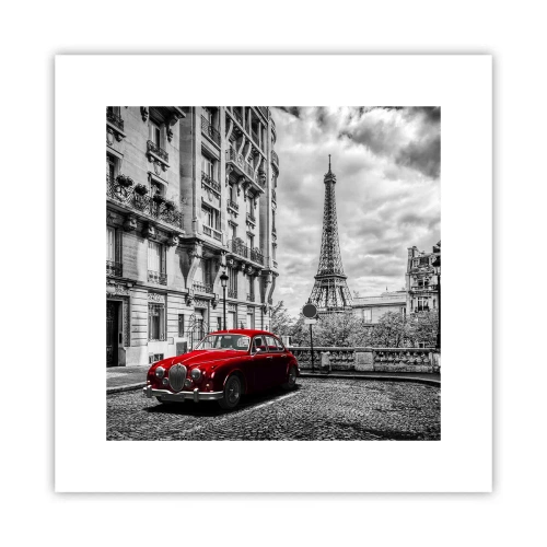 Poster - Prădător în oraș - 30x30 cm