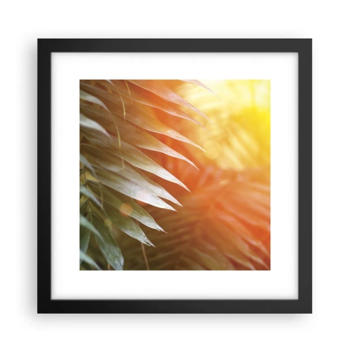 Poster în ramă neagră - Dimineață în junglă - 30x30 cm