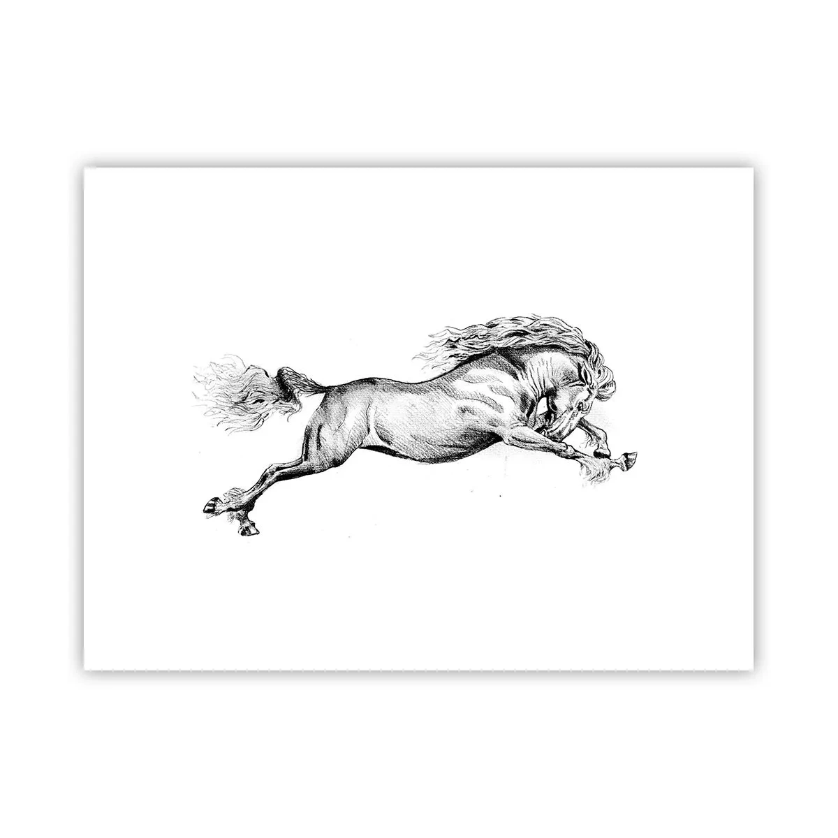 Poster - Oprit din galop - 40x30 cm