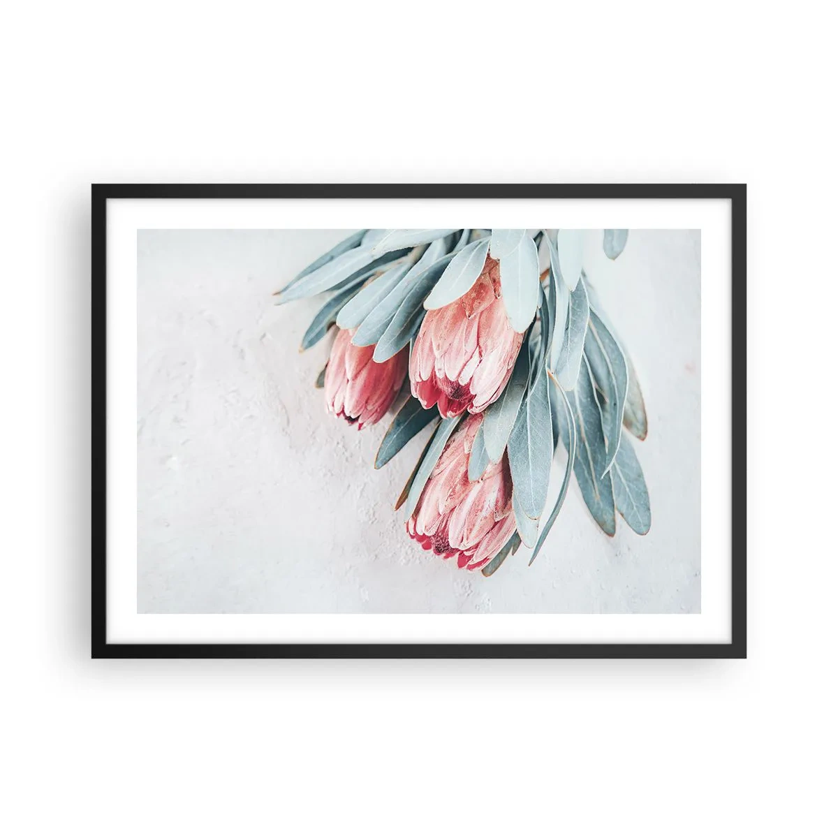 Poster în ramă neagră - Rușinate de propria lor frumusețe - 70x50 cm