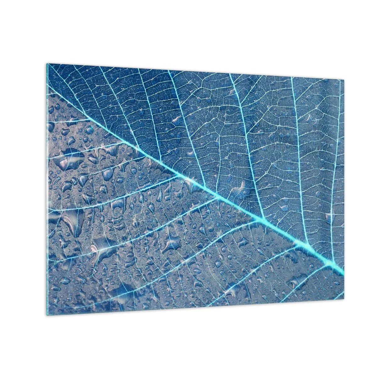 Tablou pe sticlă - Fotografie macro a unei frunze cu picături de apă în nuanțe de albastru - 70x50cm - Viața în albastru - Decorațiune modernă pentru perete pentru living și dormitor ARTTOR