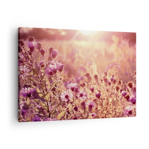 Tablou pe pânză Canvas - Pajiște în lumina soarelui care apune - 70x50cm - Înainte ca vara să plece - Decorațiune modernă pentru perete pentru living și dormitor ARTTOR