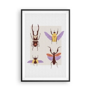 Poster în ramă neagră - Lumea insectelor - 61x91 cm