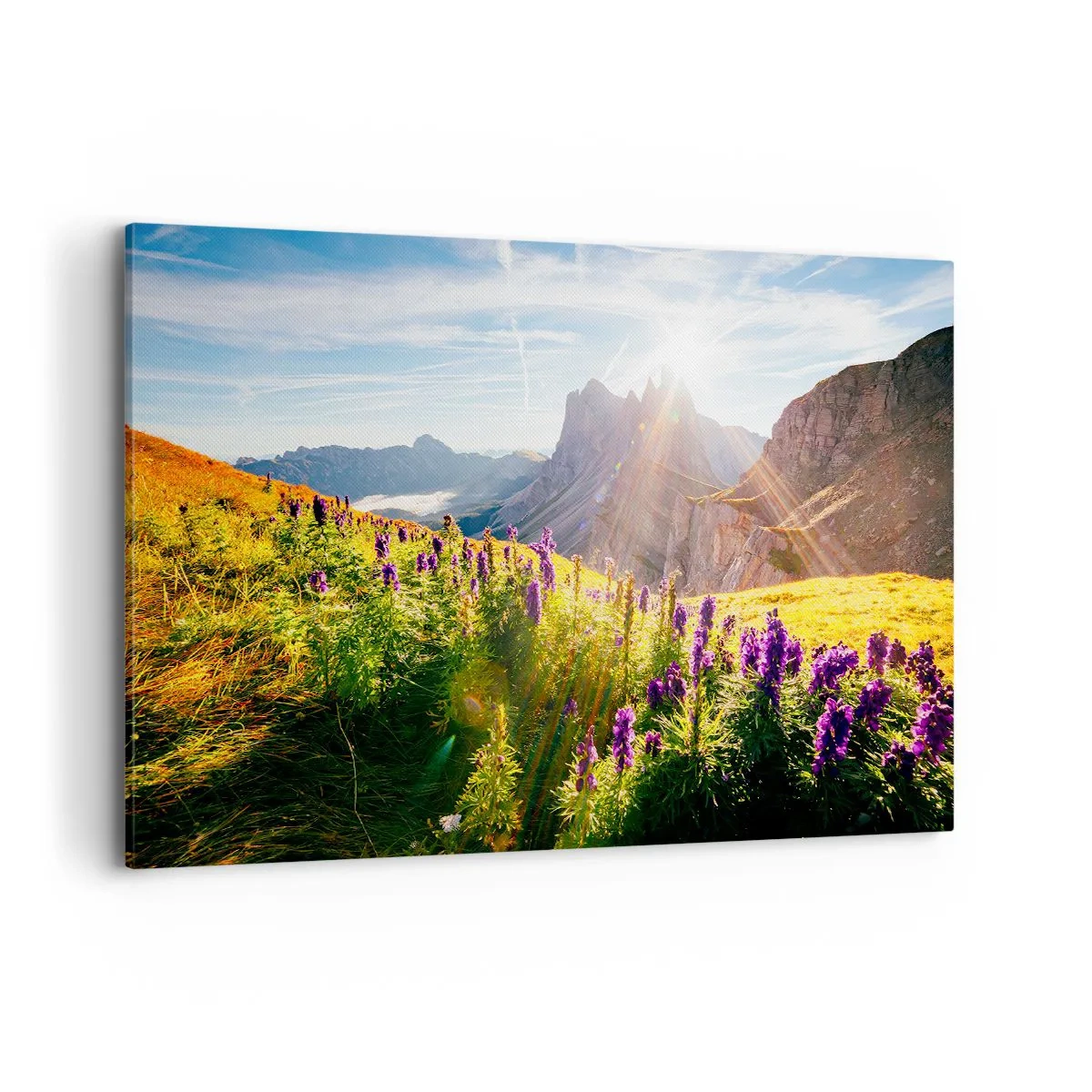 Tablou pe pânză - Viața secretă a ierburilor - 120x80 cm