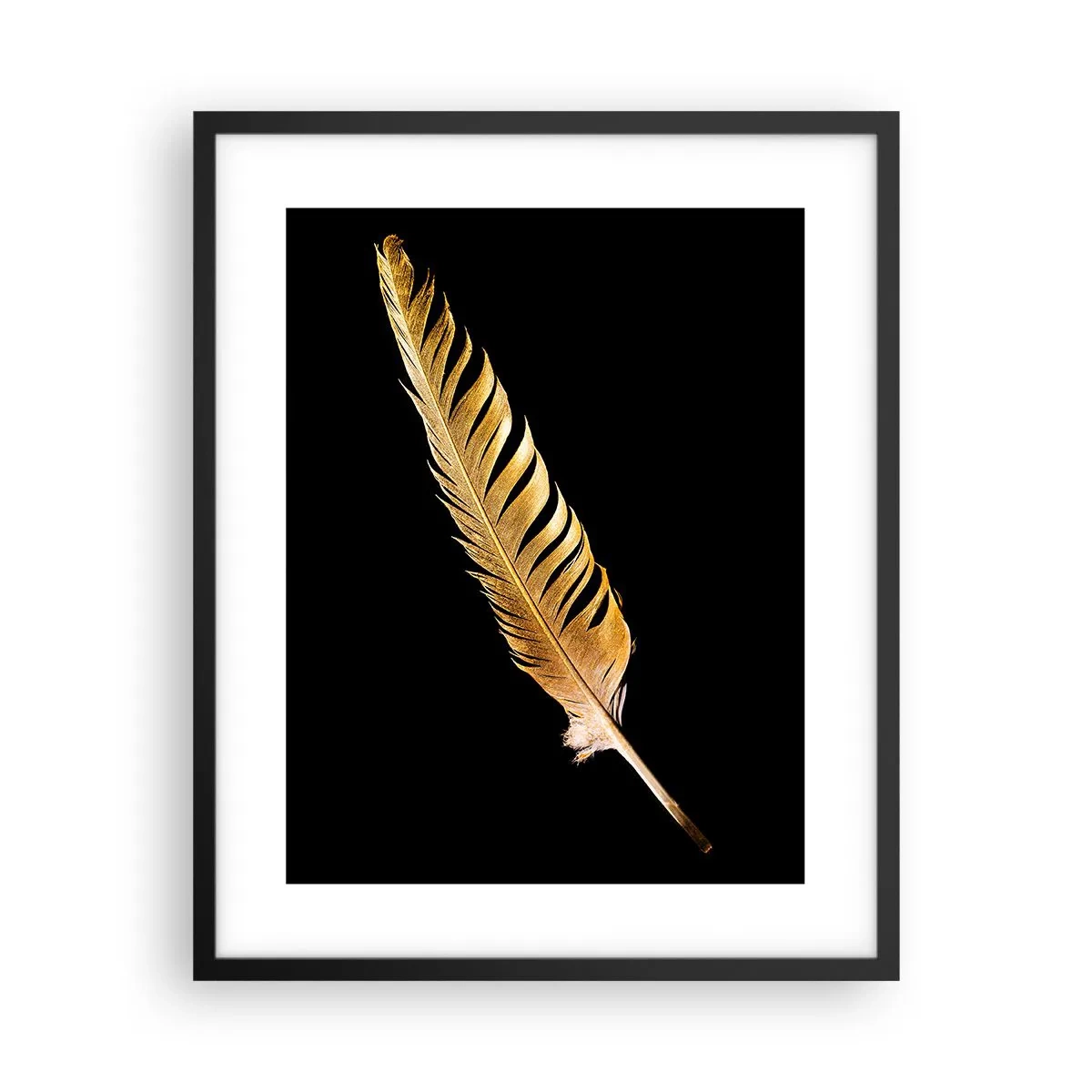 Poster în ramă neagră - Pană aurie perfectă - 40x50 cm