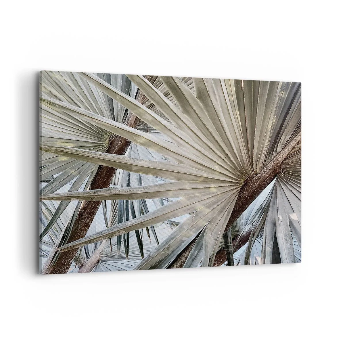 Tablou pe pânză - Evantaie din tropice - 100x70 cm