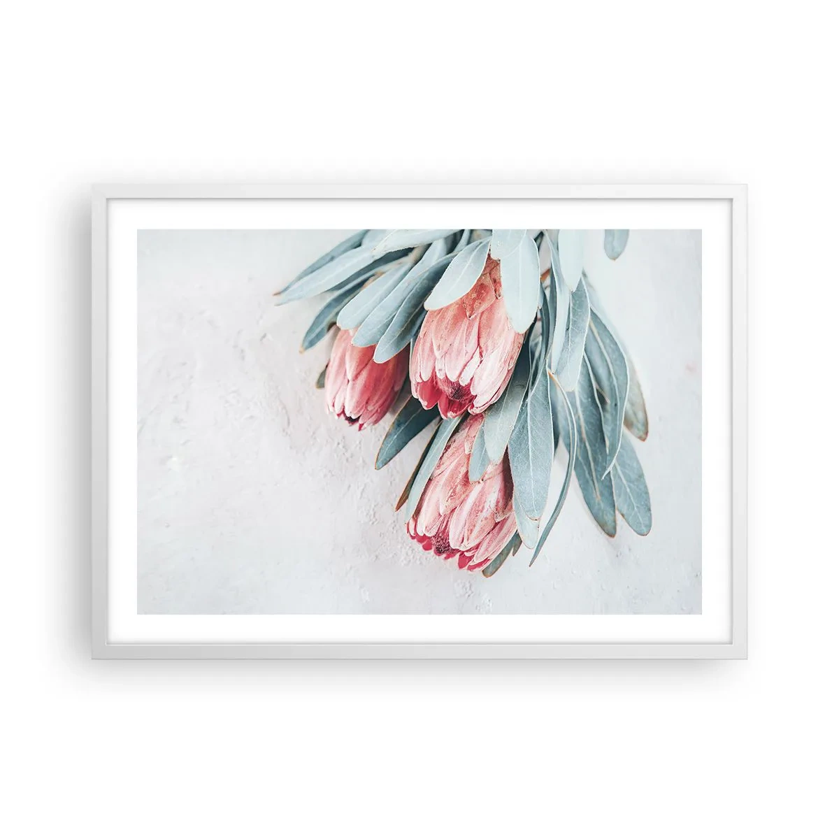 Poster în ramă albă - Rușinate de propria lor frumusețe - 70x50 cm