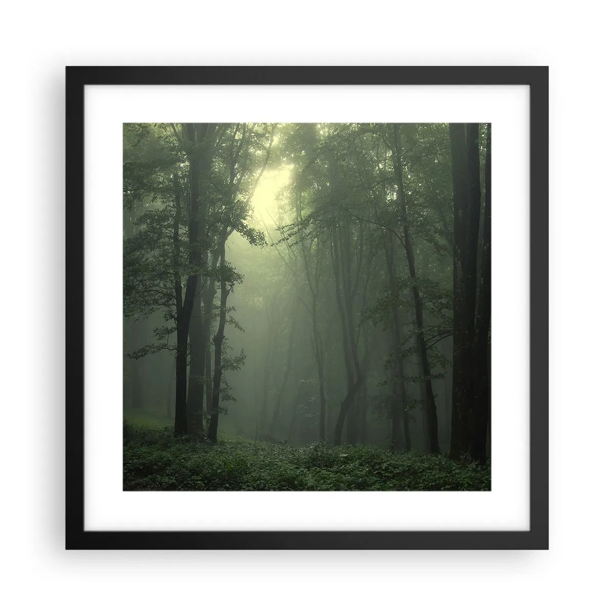 Poster în ramă neagră - Înainte să se trezească - 40x40 cm