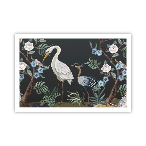 Poster - Parada păsărilor - 91x61 cm