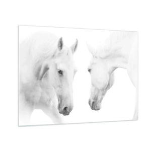 Tablou pe sticlă - Doi cai albi față în față pe un fundal deschis - 70x50cm - Este aceasta o prietenie...? - Decorațiune modernă pentru perete pentru living și dormitor ARTTOR