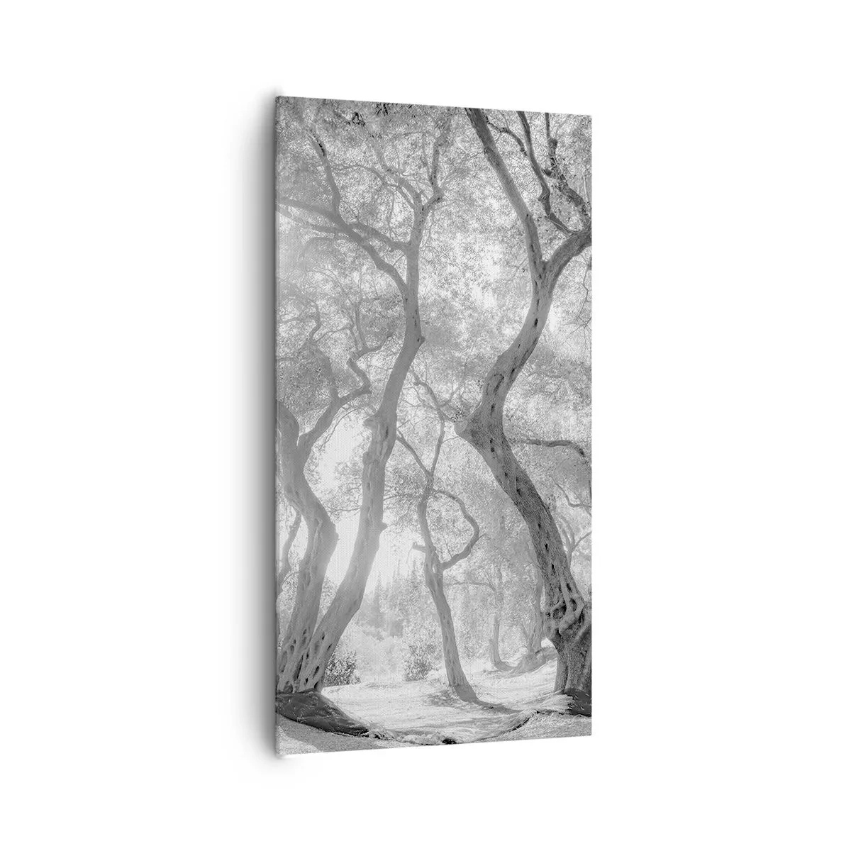 Tablou pe pânză - Într-o livadă de măslini - 65x120 cm