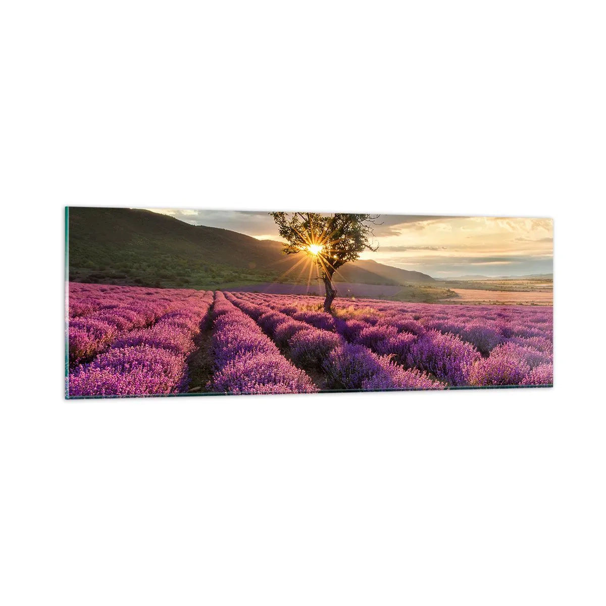Tablou pe sticlă - Aroma în liliac - 90x30 cm