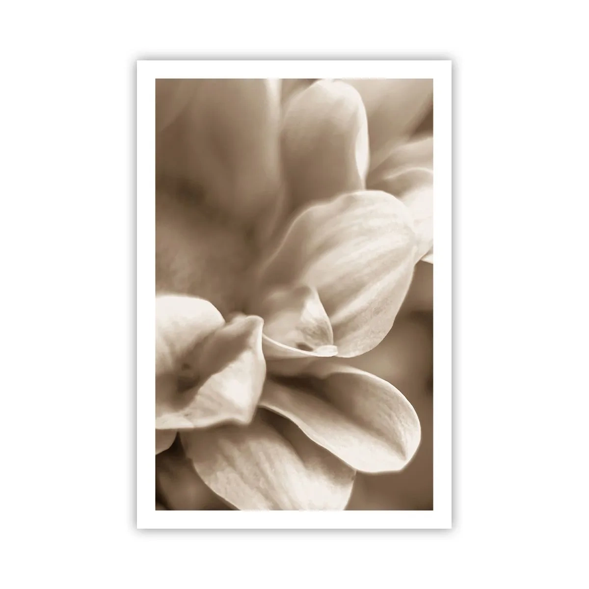 Poster - Blânde ca un zâmbet - 61x91 cm