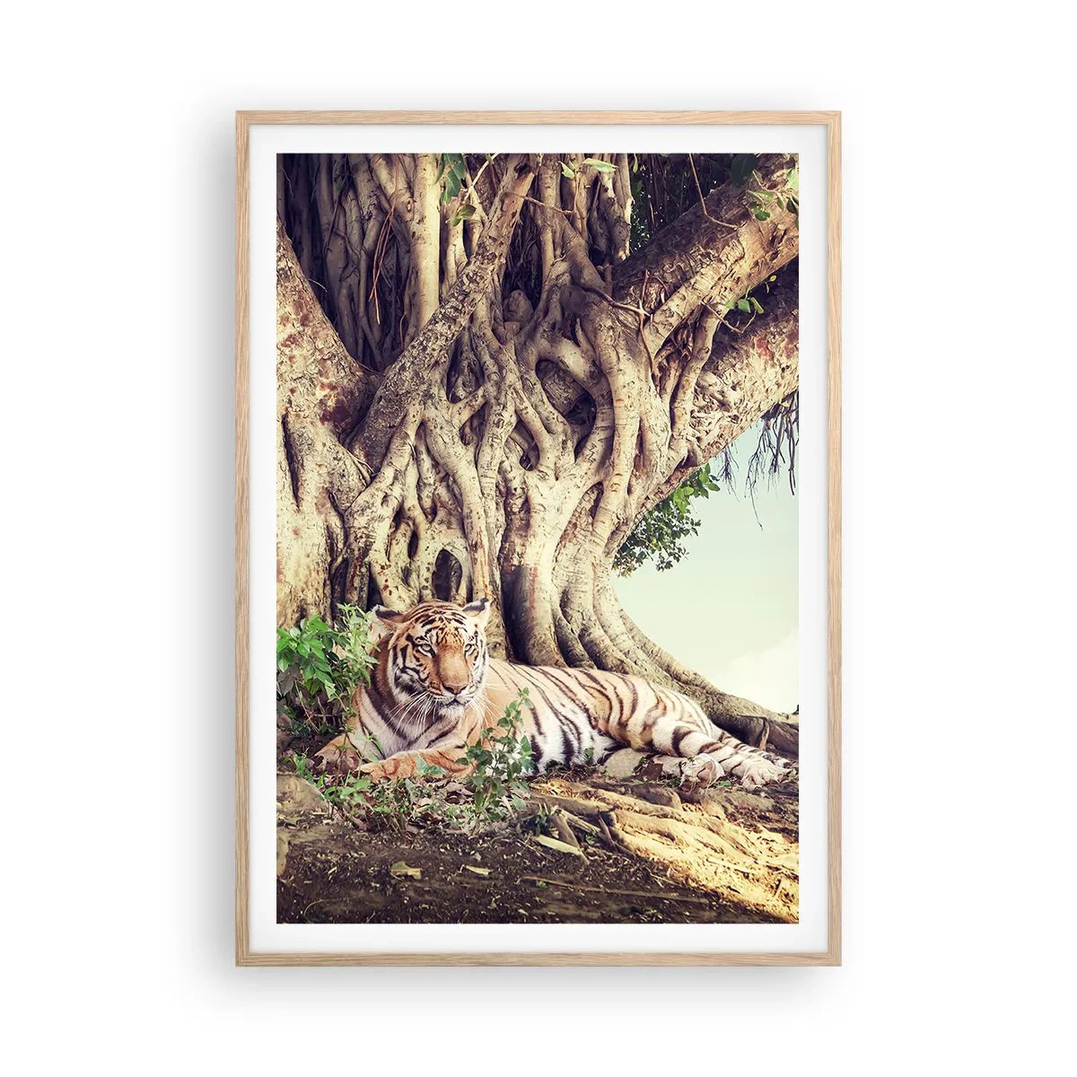 Poster în ramă de stejar deschis - O perspectivă din Geneză - 70x100 cm