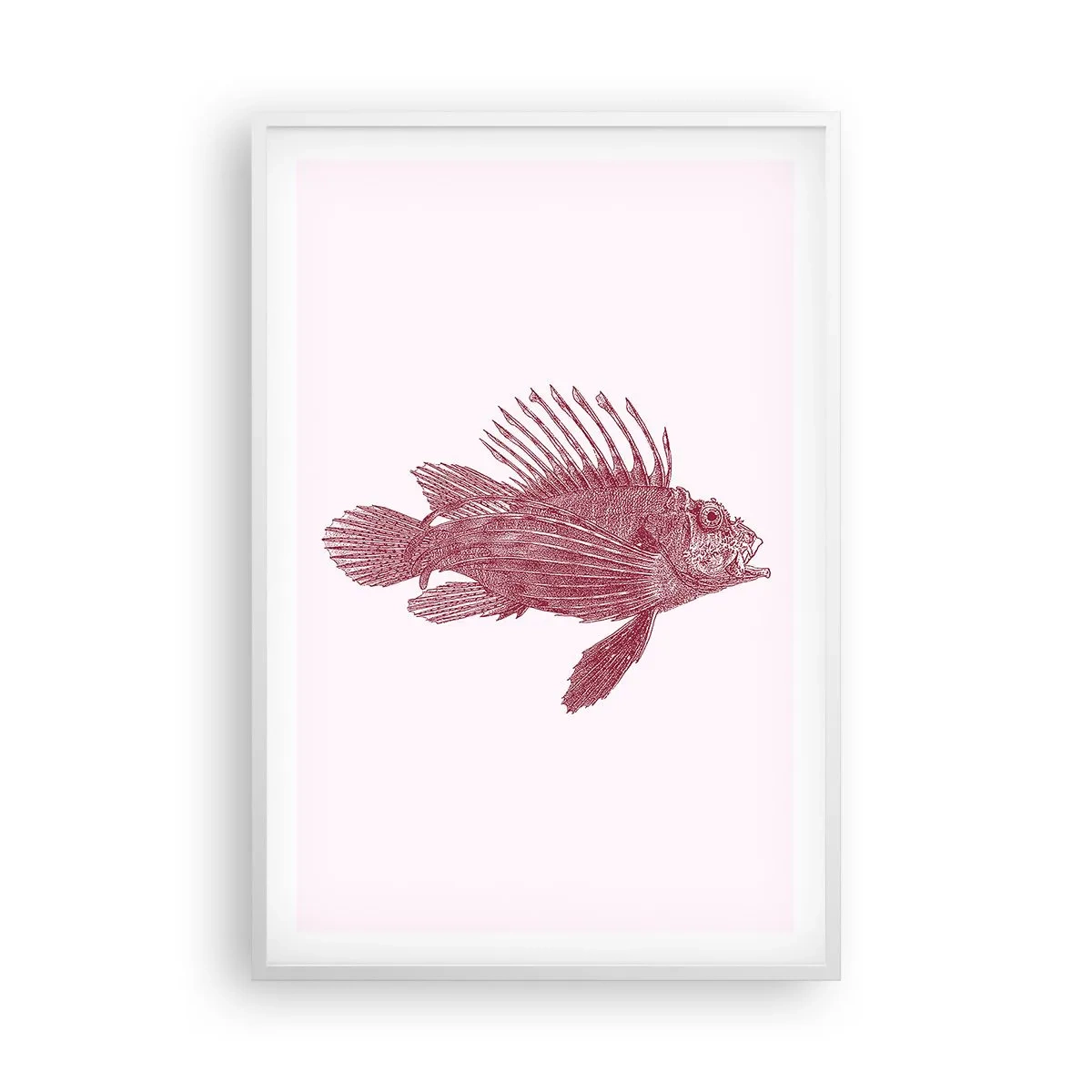 Poster în ramă albă - Un locuitor al apelor exotice - 61x91 cm