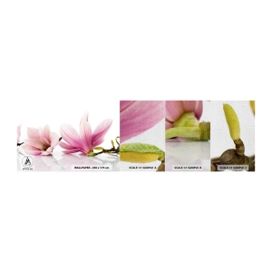 Mostră tapet Premium Canvas - Delicate ca o adiere de primăvară - Floare, Magnolie, Natură - 100x30 cm