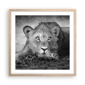 Poster în ramă de stejar deschis - Pisicuța regală - 50x50 cm