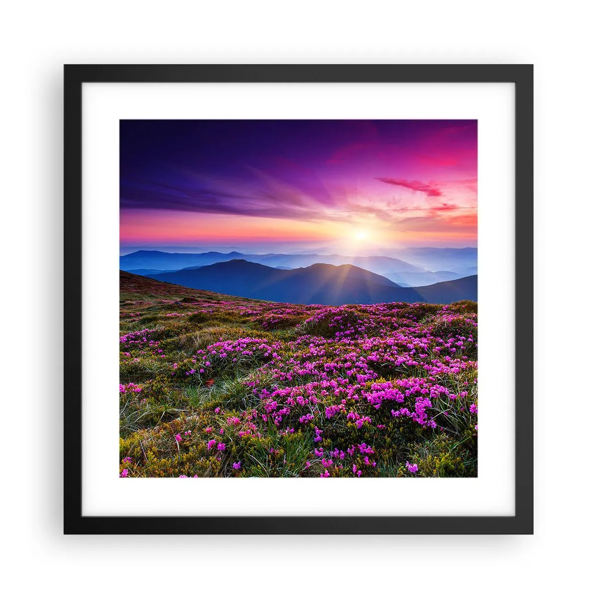 Poster în ramă neagră - Ierburile proaspete miroseau puternic - 40x40 cm