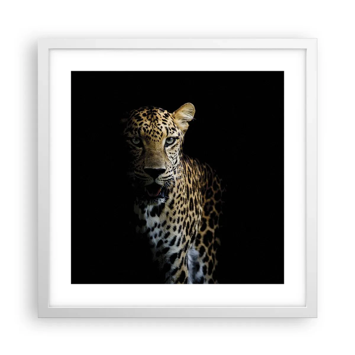 Poster în ramă albă - Frumusețe întunecată - 40x40 cm