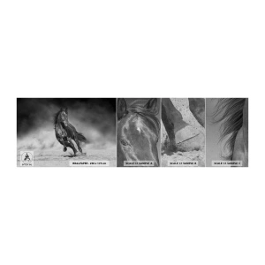 Mostră tapet Premium Canvas - Dorința emirului - Cal, Animale, Natură - 100x30 cm