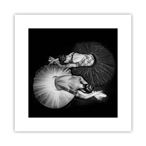 Poster - Yin și yang - echilibrul perfect - 30x30 cm