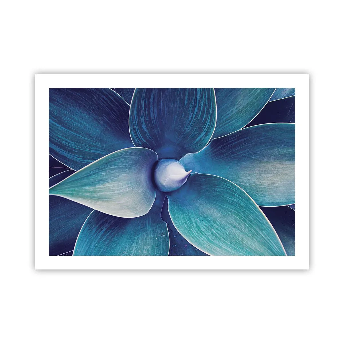 Poster - A furat albastrul de la cer - 70x50 cm