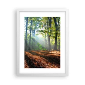 Poster în ramă albă - Străluciri și umbre - 30x40 cm