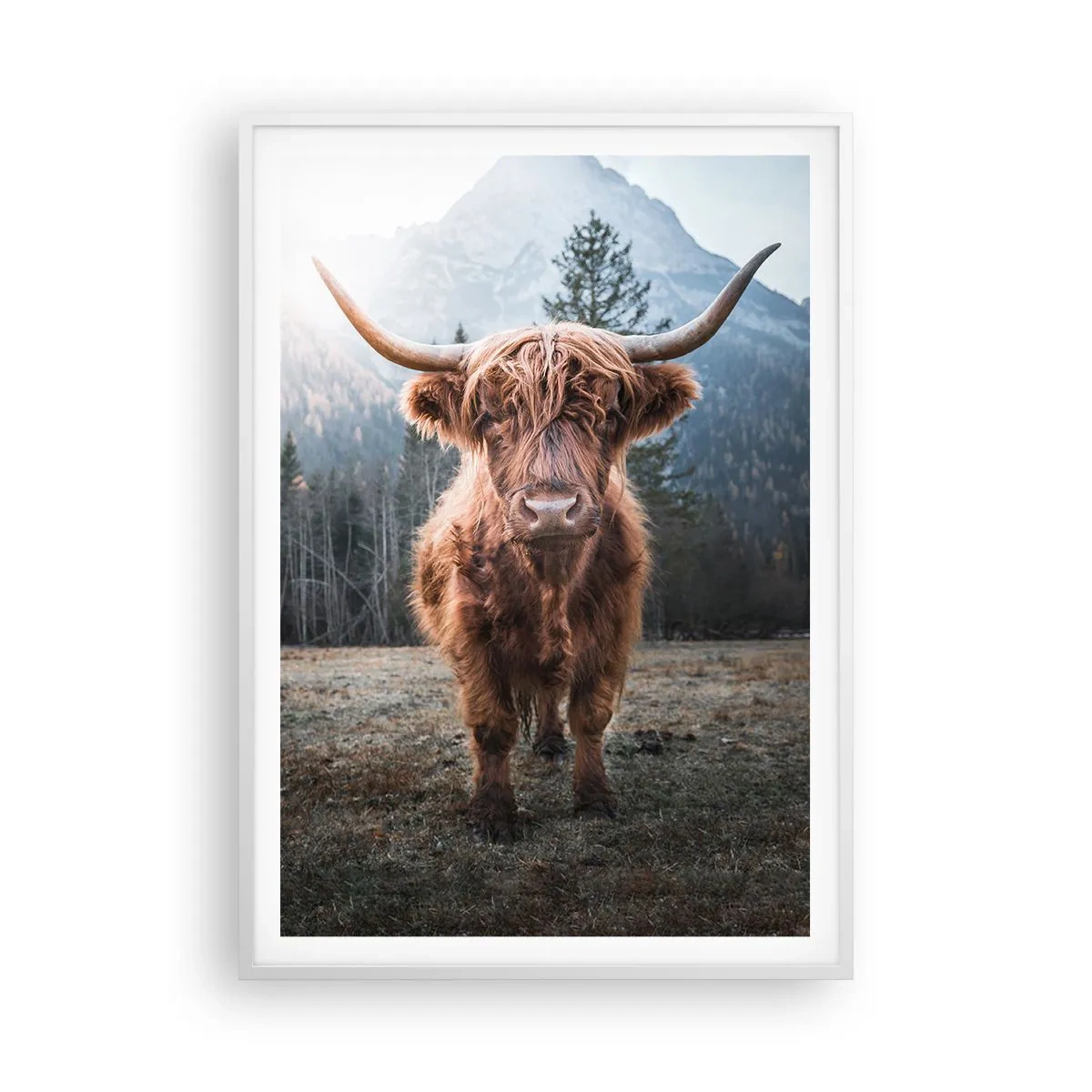 Poster în ramă albă - Salutări de pe o pajiște de munte - 70x100 cm