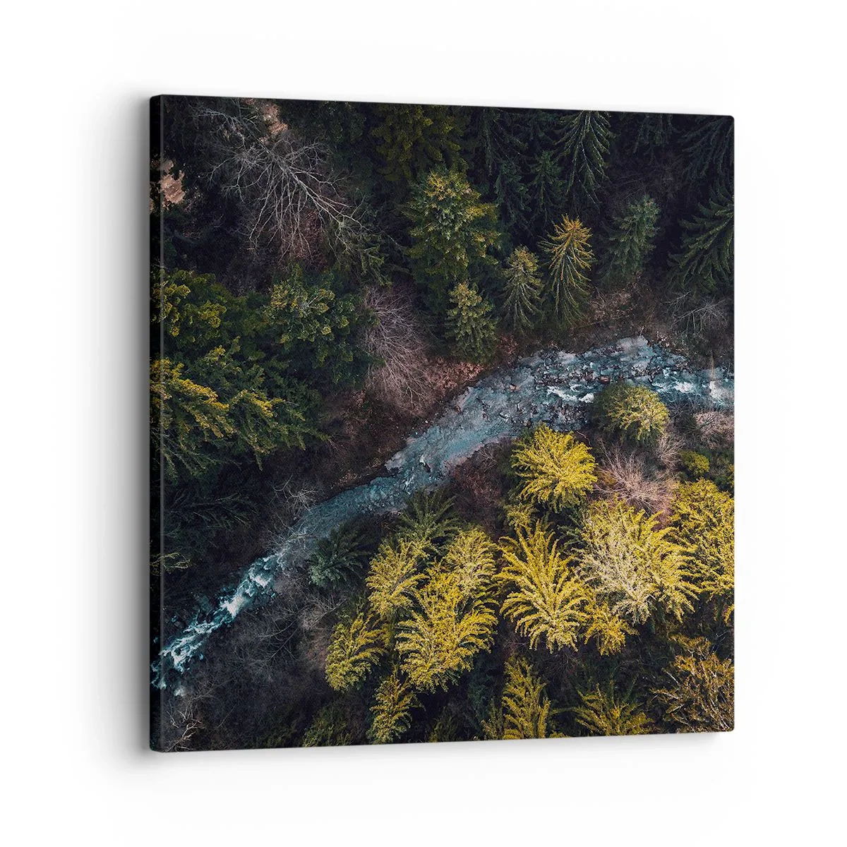 Tablou pe pânză - Rapid și mai rapid - 30x30 cm