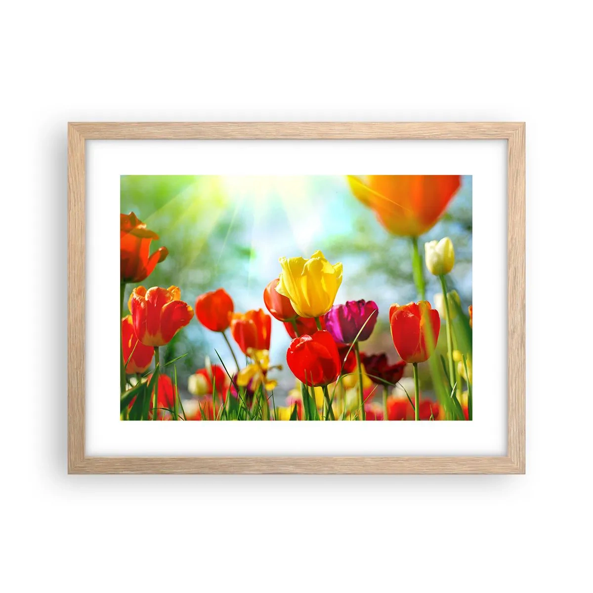 Poster în ramă de stejar deschis - Toate culorile soarelui - 40x30 cm