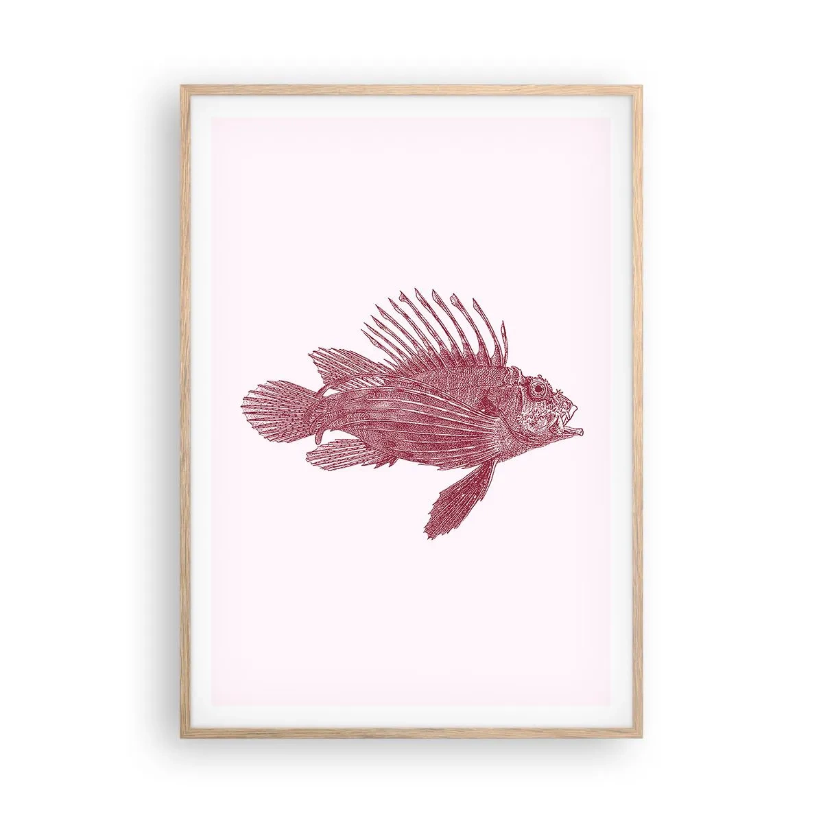 Poster în ramă de stejar deschis - Un locuitor al apelor exotice - 70x100 cm