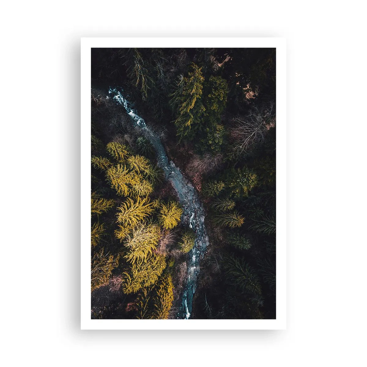 Poster - Rapid și mai rapid - 70x100 cm