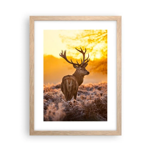 Poster în ramă de stejar deschis - Regele pădurii de toamnă - 30x40 cm