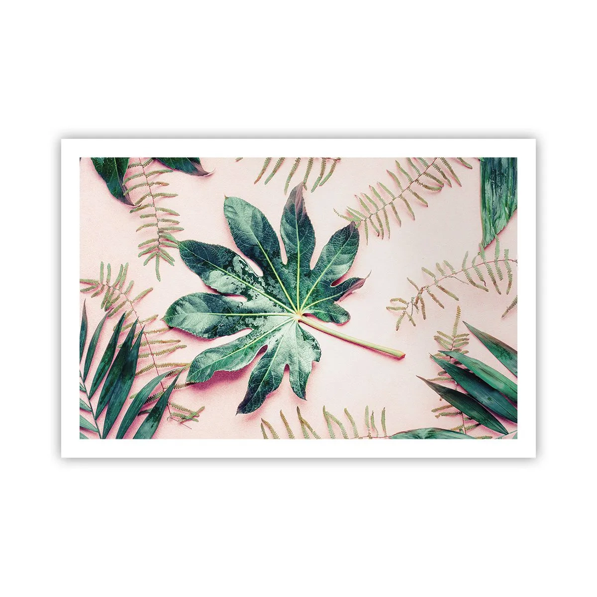 Poster - Studiu de verdeață pe un fundal roz - 91x61 cm