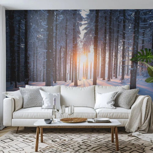 Tapet Standard Eco - În mod clar în alb și negru - Peisaj, pădure, Zăpadă - 500x350 cm