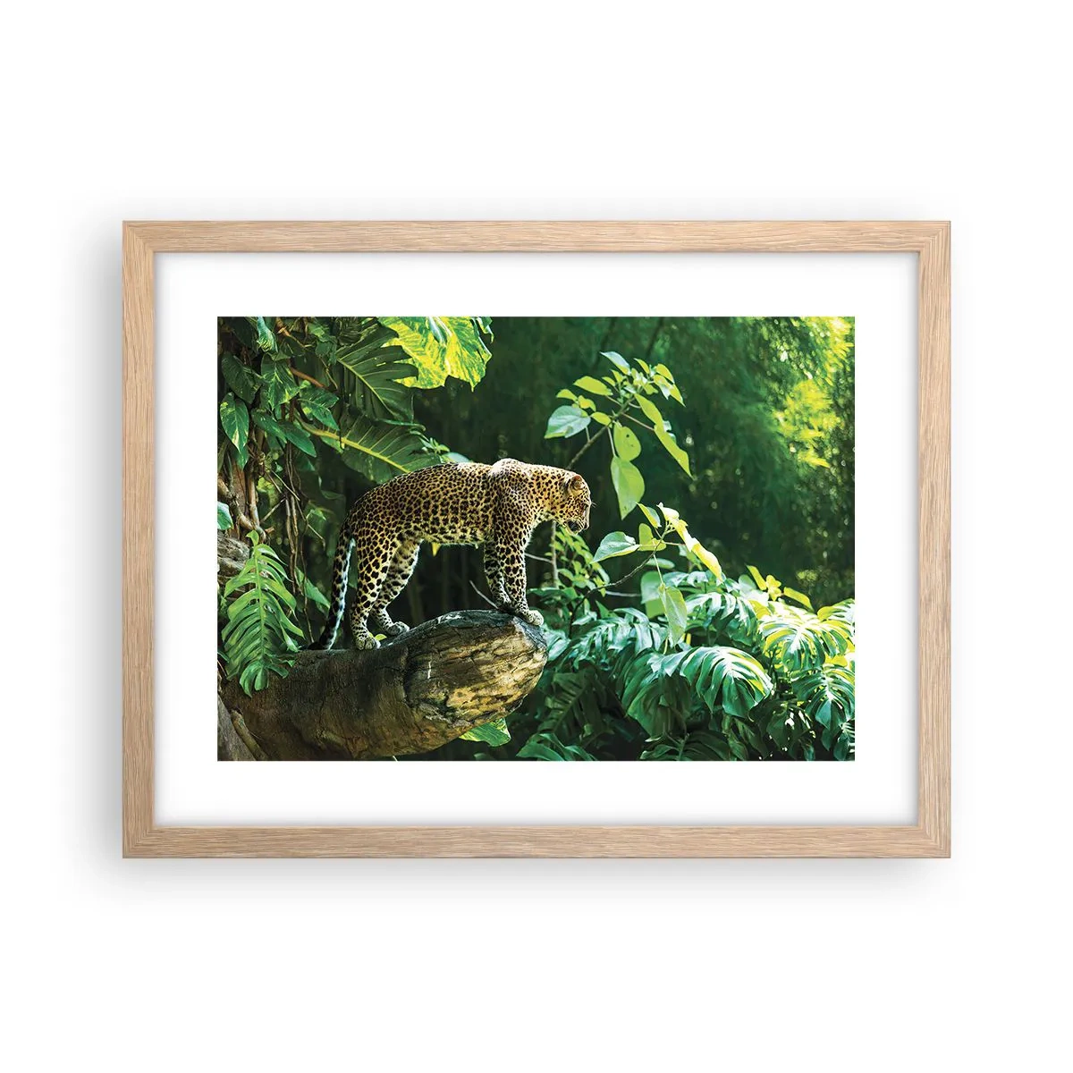 Poster în ramă de stejar deschis - La vânătoare? - 40x30 cm