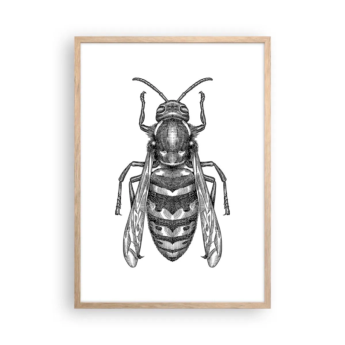 Poster în ramă de stejar deschis - De pe o planetă de insecte - 50x70 cm
