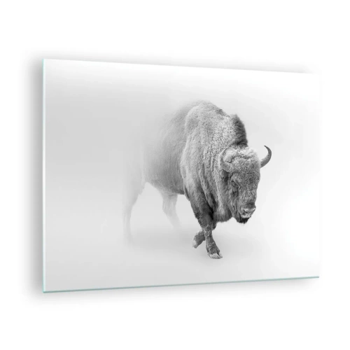 Tablou pe sticlă - Ilustrație alb-negru a unui bizon maiestuos - 70x50cm - Regele preriilor - Decorațiune modernă pentru perete pentru living și dormitor ARTTOR