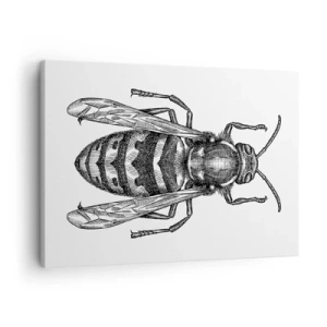 Tablou pe pânză Canvas - Un motiv de viespe de desene animate pe fundal alb, în stil minimalist. - 70x50cm - De pe o planetă de insecte - Decorațiune modernă pentru perete pentru living și dormitor ARTTOR