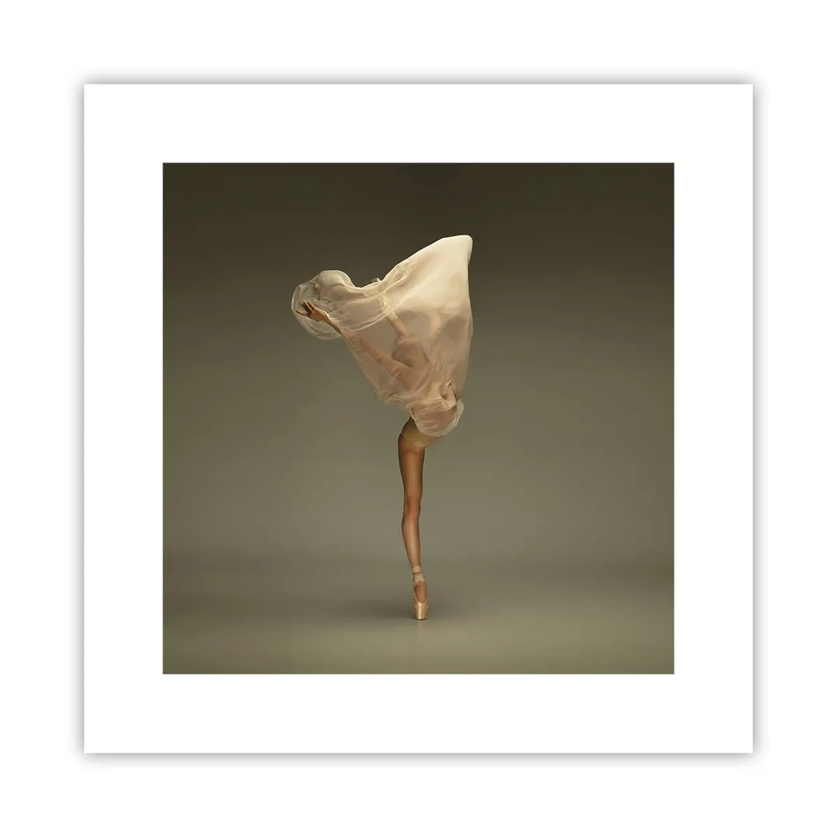 Poster - Pe cale să zboare - 30x30 cm