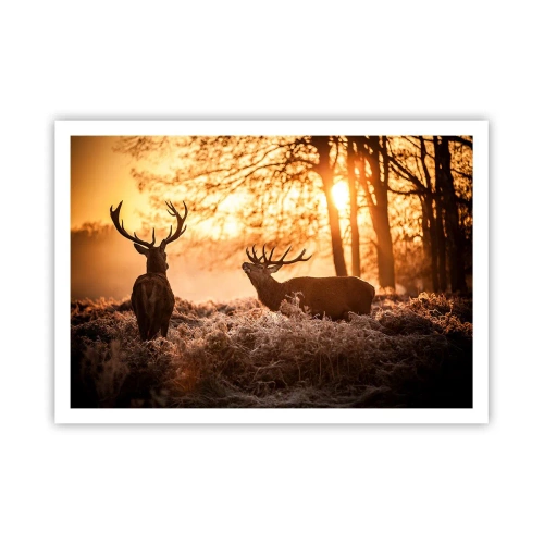 Poster - Visul unui vânător - 100x70 cm