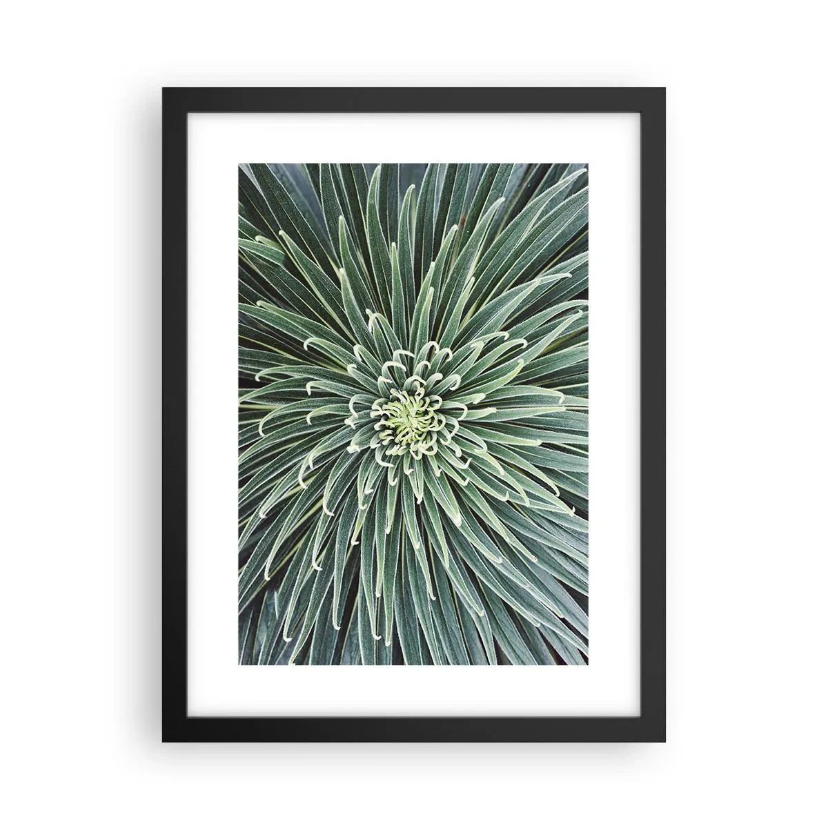 Poster în ramă neagră - Nașterea unei stele - 30x40 cm